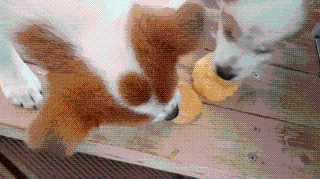 씽썅쑝님이 올린 리뷰 사진 3
