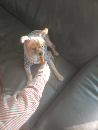 이은미님이 올린 리뷰 사진 3