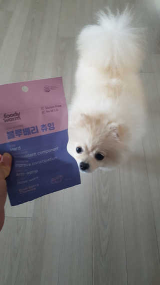 푸디웜 주식회사 [푸디웜] 강아지 저알러지 수제간식 3종세트 — 5점을 준 리뷰어가 2018년 11월 올린 사용 사진