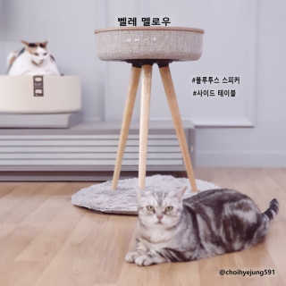 제니언니님이 올린 리뷰 사진 2
