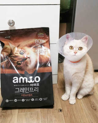 정솔님이 올린 리뷰 사진 1