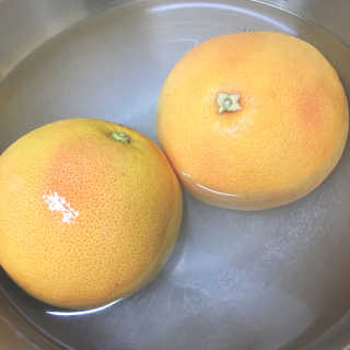 evergreen님이 올린 리뷰 사진 4