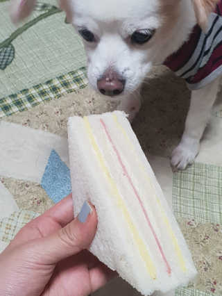 JinjuKim님이 올린 리뷰 사진 3