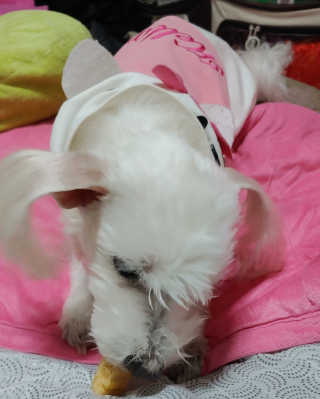 비커잠해피님이 올린 리뷰 사진 4