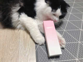 cobemom님이 올린 리뷰 사진 3