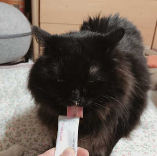 토모님이 올린 리뷰 사진 2