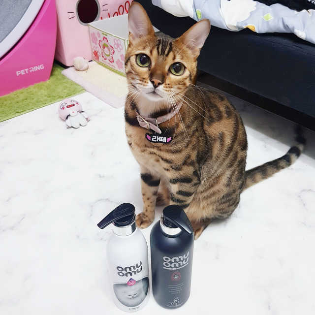 오무오무 블랙 샴푸 트리트먼트 리뷰 사진