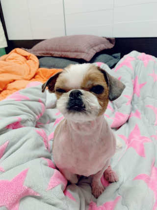 딸기언니님이 올린 리뷰 사진 3