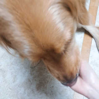 아보카도올리브님이 올린 리뷰 사진 3