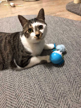 거니건이님이 올린 리뷰 사진 4