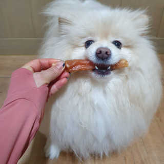 치리짱님이 올린 리뷰 사진 2