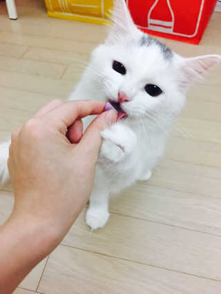 쥬쥬님이 올린 리뷰 사진 1