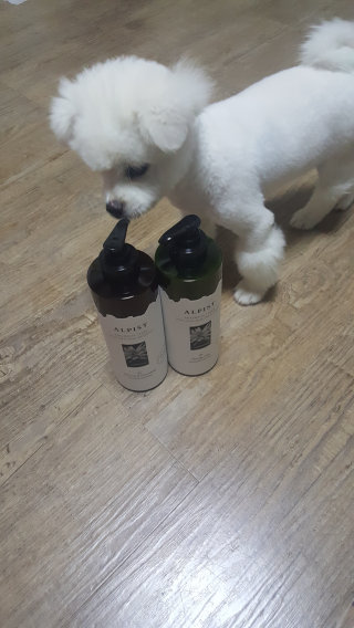 코카님이 올린 리뷰 사진 1