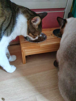 3M님이 올린 리뷰 사진 3