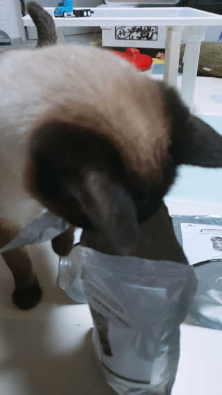 헤네짱님이 올린 리뷰 사진 4