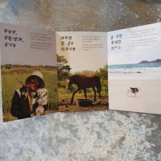 [어글어글] 반려견 친환경 간식 9종 세트 — 5점을 준 리뷰어가 2019년 9월 올린 사용 사진