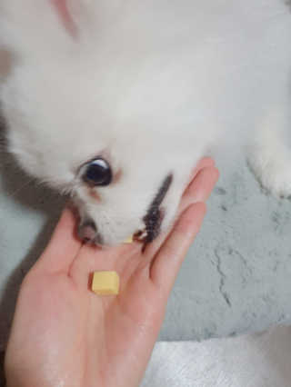 쟈스민님이 올린 리뷰 사진 4