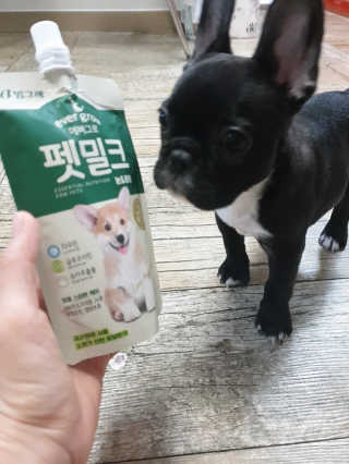 [빙그레] 에버그로 생유산균 1봉（10포입）+펫밀크2팩 — 5점을 준 리뷰어가 2019년 5월 올린 사용 사진