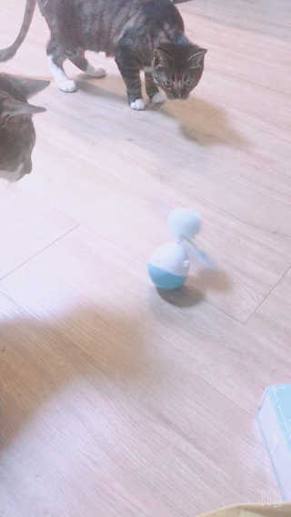 징니คʕ•ﻌ•ʔค님이 올린 리뷰 사진 3