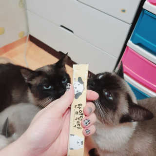 은디님이 올린 리뷰 사진 2