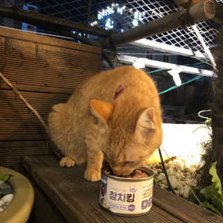 토토낑님이 올린 리뷰 사진 2