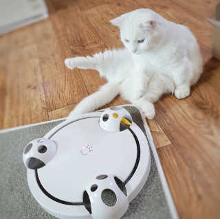 그리다님이 올린 리뷰 사진 2