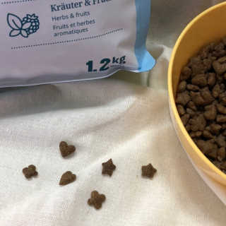 그린펫푸드 인섹트캣 글루텐프리（1.2KG） — 4점을 준 리뷰어가 2019년 8월 올린 사용 사진