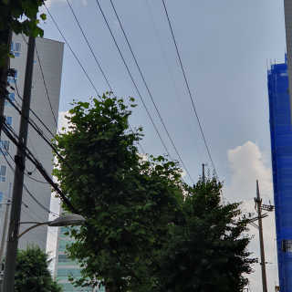 wnanna님이 올린 리뷰 사진 2