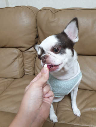 mini unni님이 올린 리뷰 사진 2