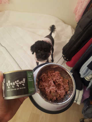 펫토리아 한캔뚝딱 best 강아지캔,고양이주식캔 — 5점을 준 리뷰어가 2019년 6월 올린 사용 사진