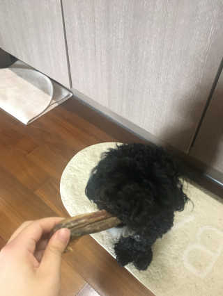 다찌종님이 올린 리뷰 사진 2