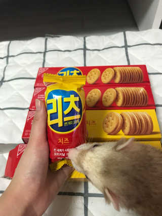 이소현님이 올린 리뷰 사진 2