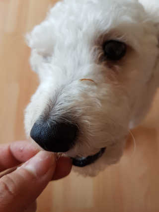 조나래님이 올린 리뷰 사진 2