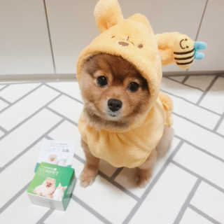 은선이짱님이 올린 리뷰 사진 1