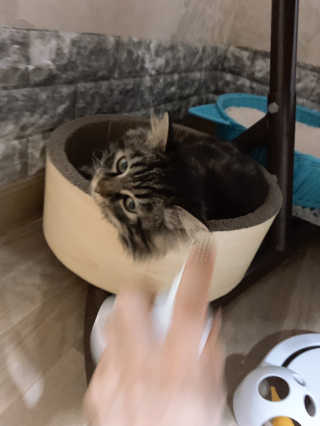 민댕댕이님이 올린 리뷰 사진 2