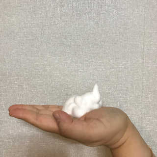 Dr.메디션 ER 네이처 클렌징폼- 오일리스킨용 — 4.83점을 준 리뷰어가 2018년 7월 올린 사용 사진