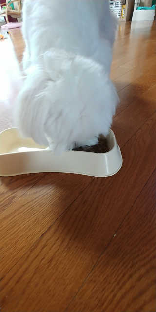 피오나H님이 올린 리뷰 사진 3