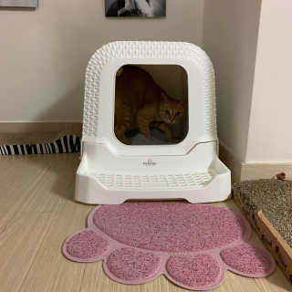 수경이야님이 올린 리뷰 사진 2