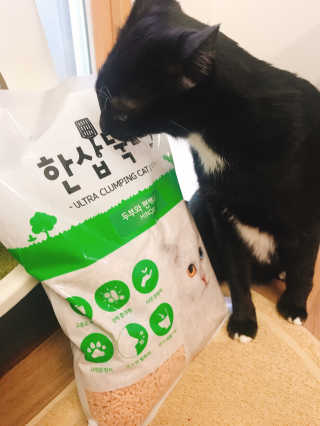 [펫토리아] BEST 고양이두부모래 6L 한삽뚝딱 — 5점을 준 리뷰어가 2019년 1월 올린 사용 사진
