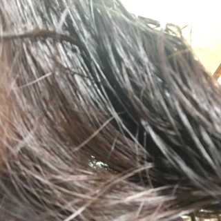 reeem님이 올린 리뷰 사진 2