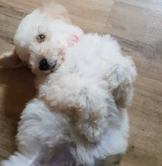 서쩡님이 올린 리뷰 사진 3