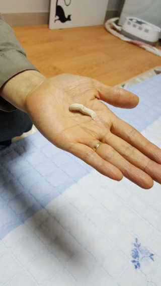 문소은님이 올린 리뷰 사진 2