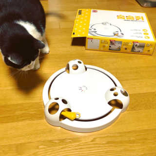 cola님이 올린 리뷰 사진 1