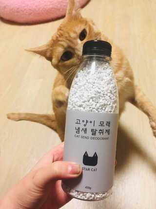 탕이맘님이 올린 리뷰 사진 2