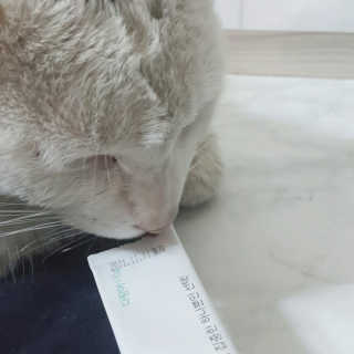 🎀딸 ♥️랑 🔆구🍭님이 올린 리뷰 사진 3