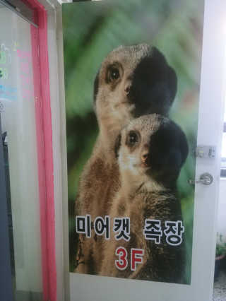 해밀님이 올린 리뷰 사진 1