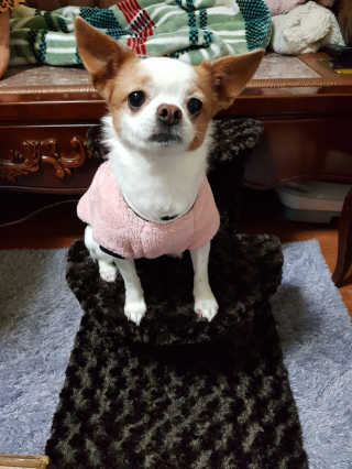 송영주님이 올린 리뷰 사진 1