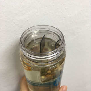 ㅎㅎ마이워터 ㅎㅎ 마이워터 과일워터팩+전용보틀_레몬오렌지 — 5점을 준 리뷰어가 2017년 9월 올린 사용 사진