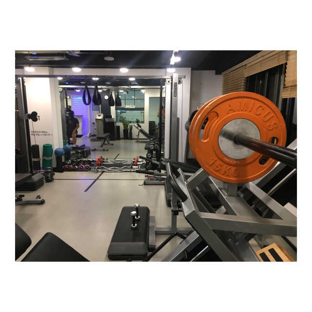 [닥터피티] 일대일 PT 개인레슨 2회+체형분석 1회 리뷰 사진