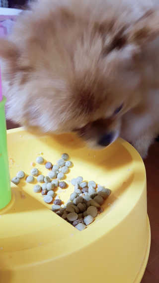 YulaKim님이 올린 리뷰 사진 1